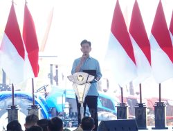 Wapres Gibran dan Kapolri Tanam Jagung Serentak, Perkuat Ketahanan Pangan Nasional