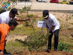 Pemkab Kerinci Dukung Penuh Gerakan Menanam Pohon Serentak Yang Digelar Pemprov Jambi