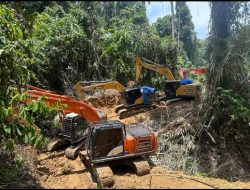 Polda Sumut Bongkar Tambang Emas Ilegal Beromzet Miliaran, 17 Orang dan 14 Ekskavator Diamankan