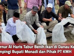 Bersama PT KMH, Gubernur Alharis Tabur Benih Ikan Di Pintu Air PLTA