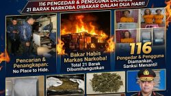 116 Pengedar dan Pengguna Diciduk, Polda Sumut Bakar 21 Barak Narkoba dalam Dua Hari