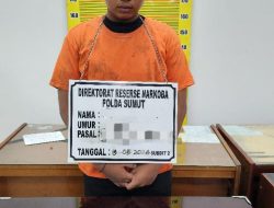 Ditresnarkoba Poldasu Ungkap Dugaan Peredaran Ekstasi di Deli Serdang, Puluhan Pil Disita dari Rumah Pelaku