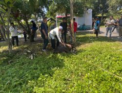 Hari Raya Idul Adha 1447 H, Polres Binjai Sembelih 7 Ekor Sapi dan 3 Ekor Kambing