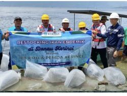 Bupati Monadi Bersama PT KMH Restocking Ikan Endemik di Danau Kerinci Guna Mendorong Kesejahteraan Nelayan