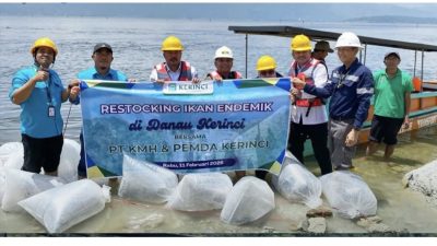 Bupati Monadi Bersama PT KMH Restocking Ikan Endemik di Danau Kerinci Guna Mendorong Kesejahteraan Nelayan