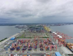 Arus Peti Kemas Belawan Tumbuh 5%, Sinyal Positif Ekonomi Sumatera Utara