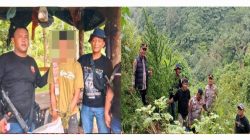 Respon Cepat Polres Langkat Ungkap Ladang Ganja di Kuala, 11 Batang Diamankan