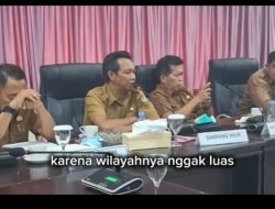 Peristiwa kebakaran hutan dan lahan (karhutla) yang terjadi di kawasan konsesi PT Jalin Vaneo (JV) di Kabupaten Kayong Utara