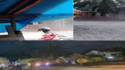 Warga Sekitar Benarkan Aktivitas CPO Diduga ilegal dijalan Letnan Umar Bakri Paya Roba, Kecamatan Binjai Barat.Aparat Diminta Segera Bertindak