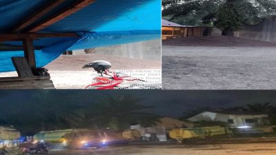 Warga Sekitar Benarkan Aktivitas CPO Diduga ilegal dijalan Letnan Umar Bakri Paya Roba, Kecamatan Binjai Barat.Aparat Diminta Segera Bertindak