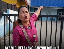 Telah Viral di Facebook” Tuduhan Ayam Busuk di Dapur Makan Bergizi Gratis Sumut 