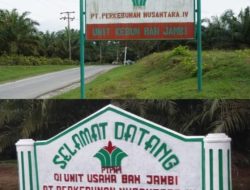 Ketua SPBUN Lempar Konfirmasi ke Manajemen Terkait Kasus 3 Ton Sawit PTPN IV Bah Jambi Menggantung